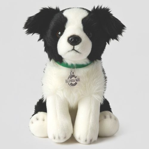 Ferry Dog Toy